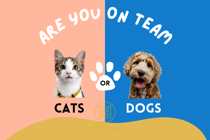 Cat vs Dog: The Ultimate Pet Showdown - Which Furry Friend is Right for You?