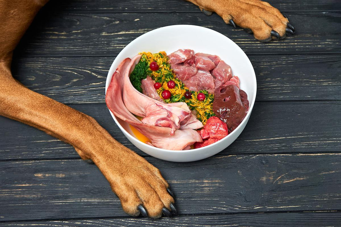 10 Must Have Ingredients In Pet Food