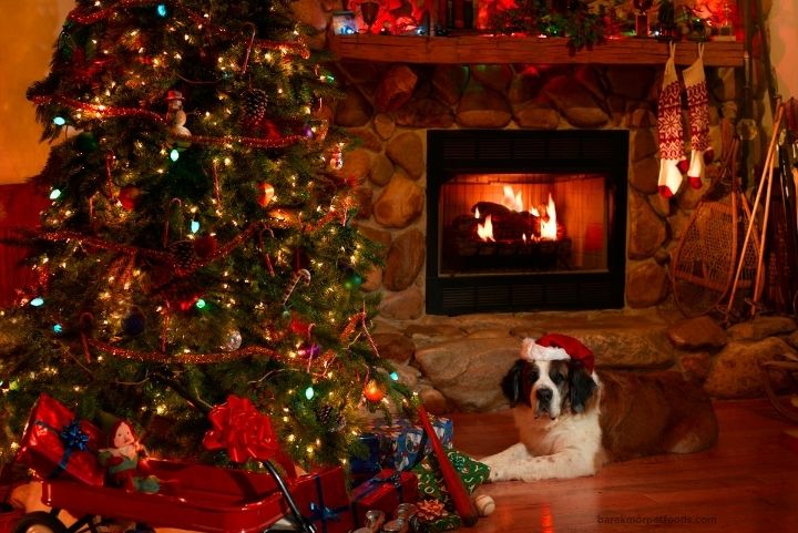 A beautifully decorated DIY advent calendar for pets, featuring numbered compartments filled with healthy treats from Barekmor® Pet Foods, surrounded by holiday décor.