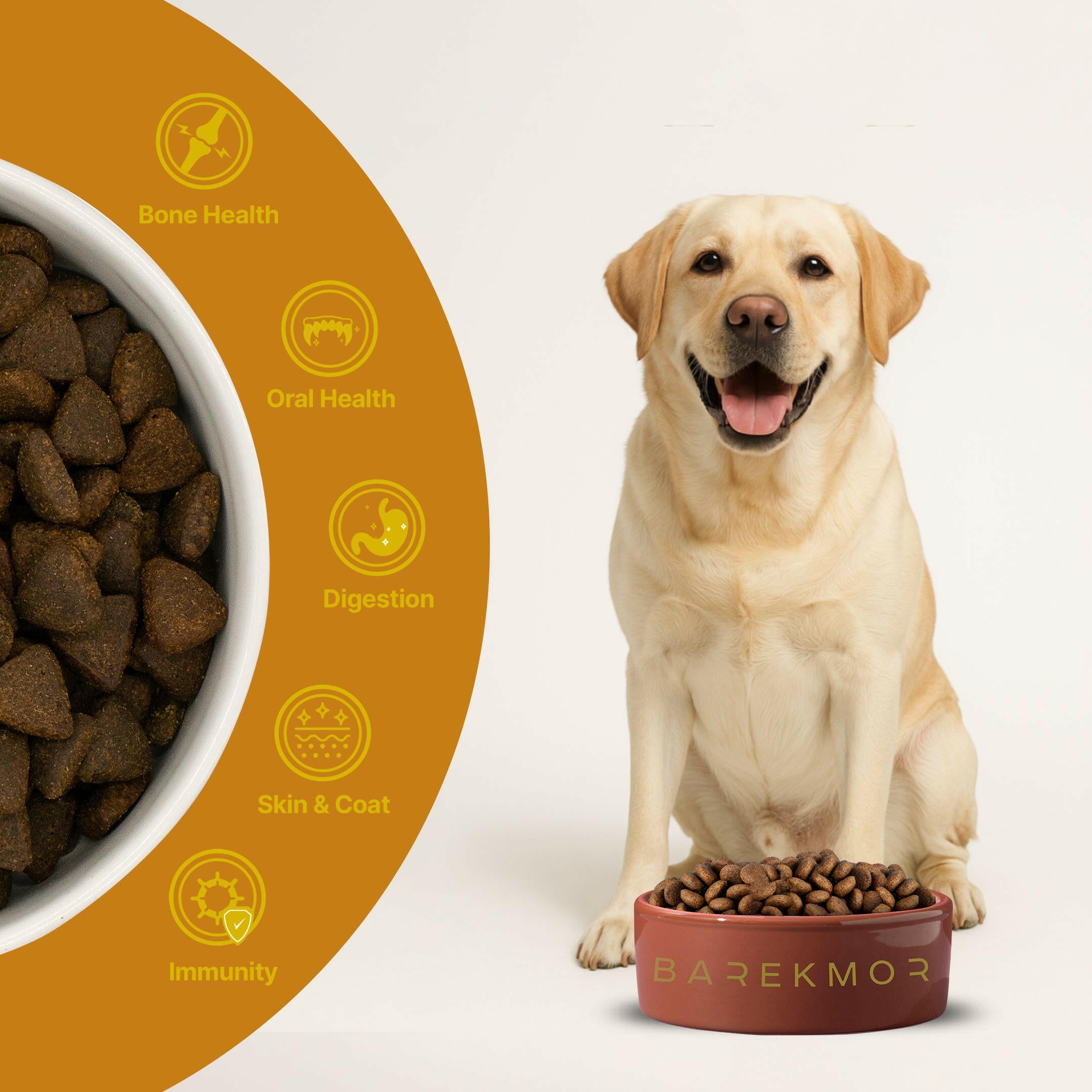 Barekmor® Salmon Recipe: Radiant Coat & Happy Tummy Adult Dog Food