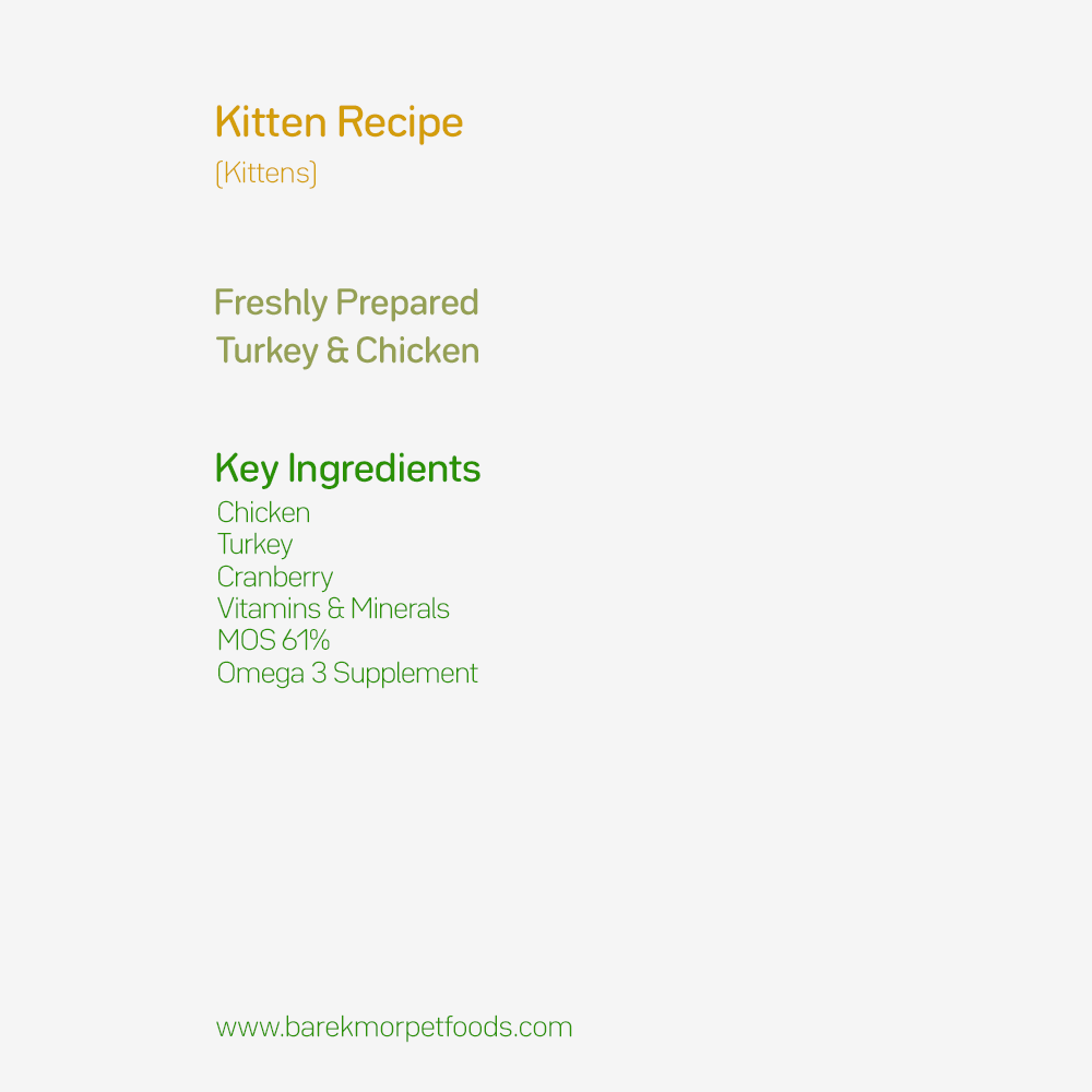 Premium Cat Food for All Kittens Turkey & Chicken Recipe