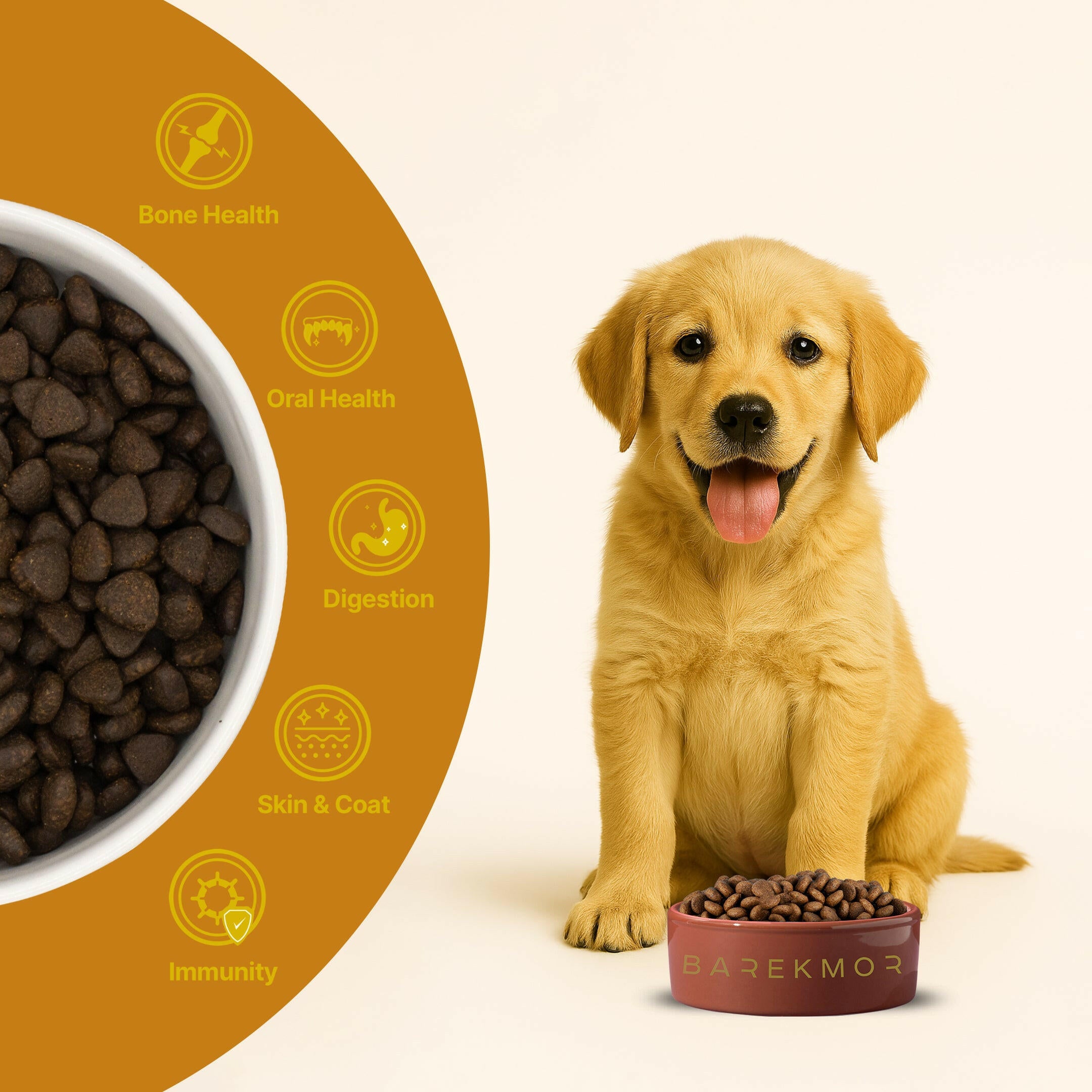 Barekmor® Salmon Puppy Recipe: Growth, Brain & Happy Tummy