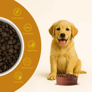 Barekmor® Salmon Puppy Recipe: Growth, Brain & Happy Tummy