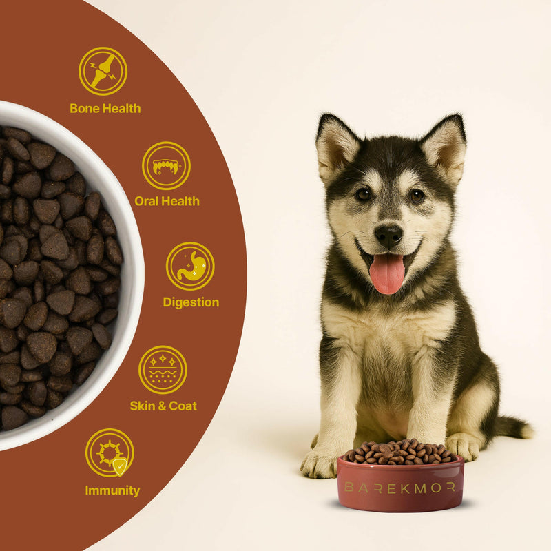 Barekmor® Puppy Power: Free-Range Turkey & Pork